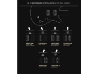 PRS SE CE24 Standard Satin Stoptail Vintage Cherry PRS SE CE24 Standard Satin Stoptail Vintage Cherry